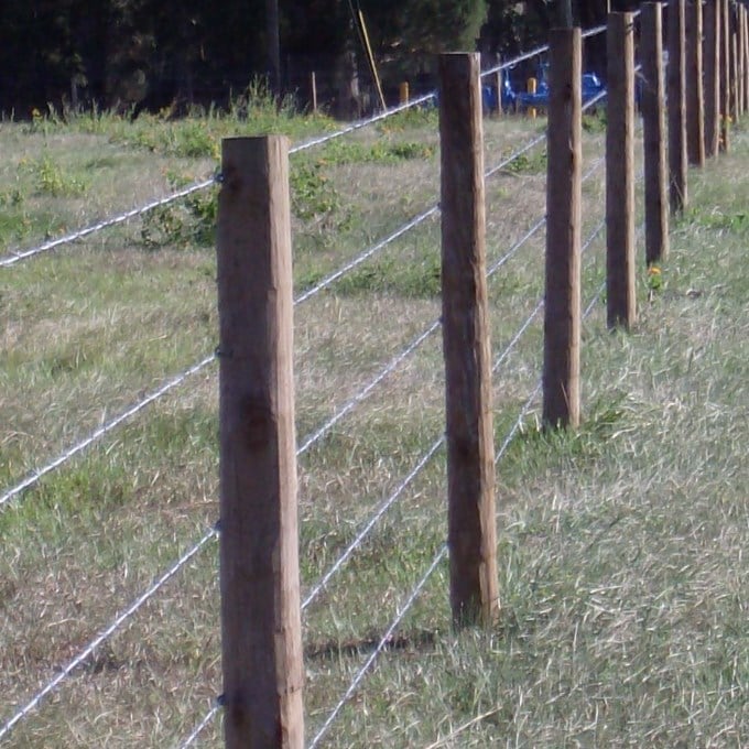 2½" x 6½' FP25 Wood Fence Post - FP25W40
