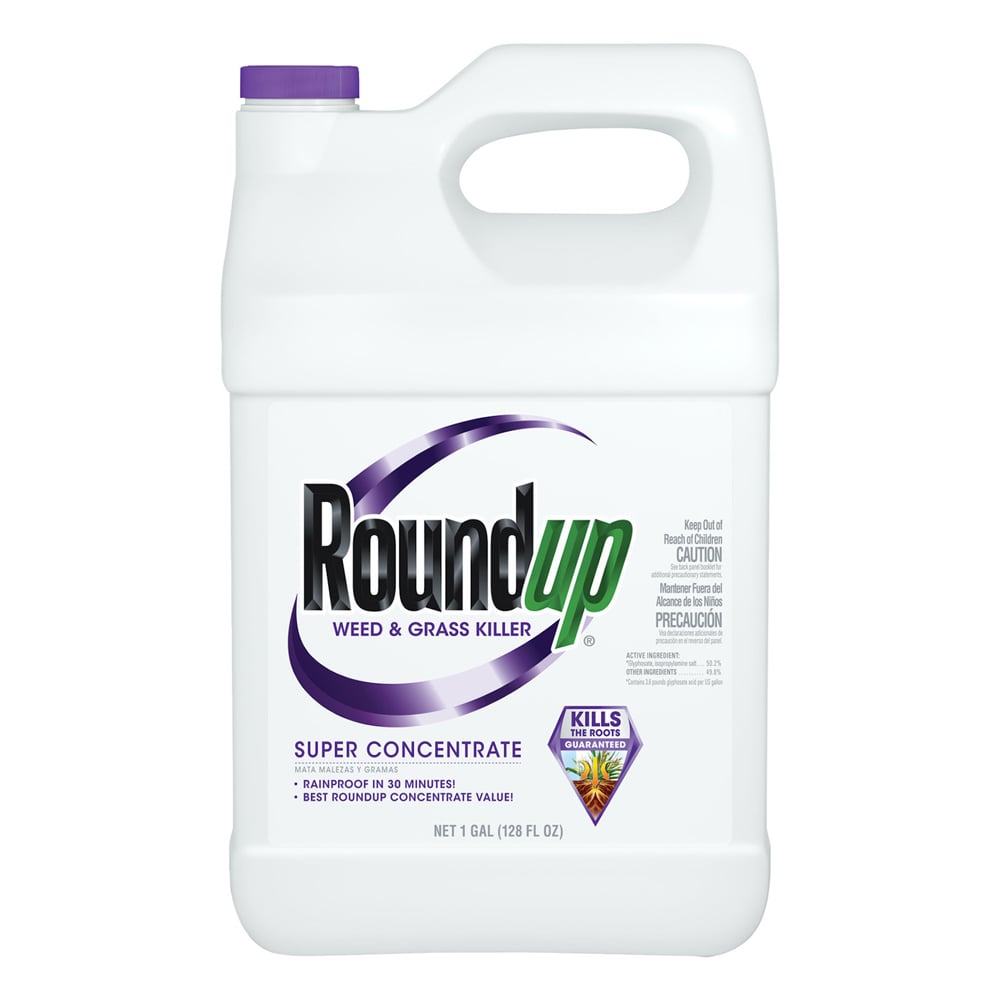Roundup Super Concentrate Weed & Grass Killer, 1 Gallon - 5004215