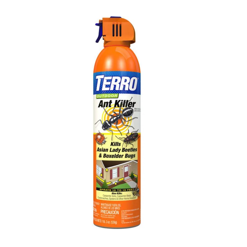 TERRO Outdoor Ant Spray, 19oz - T1700-6