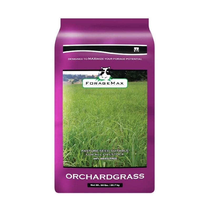 Forage Max Orchard Grass Seed 50lb - SEEDORCHARD