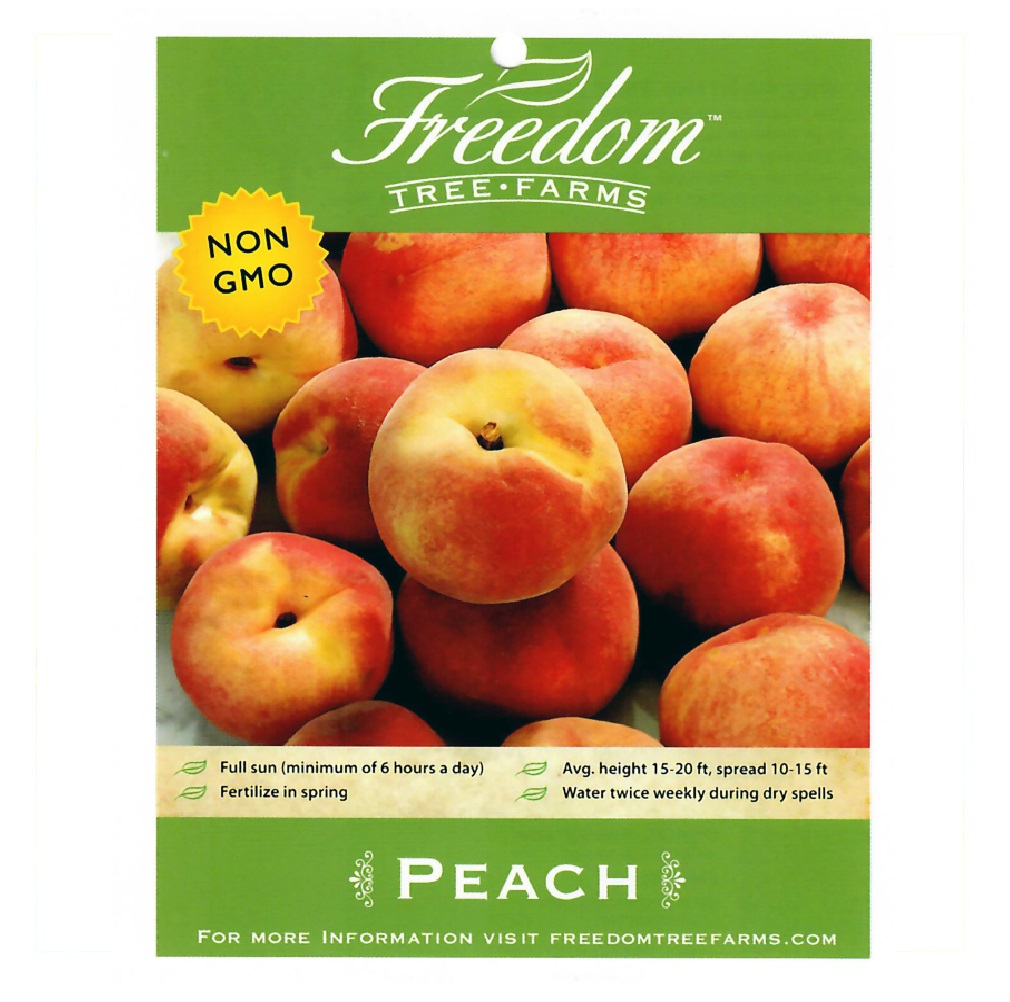 Freedom Tree Farms Country Sweet Yellow Peach 5 Gallon