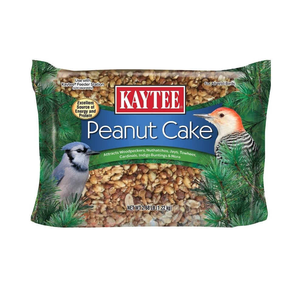 Kaytee Wild Bird Peanut Cake - 100538352