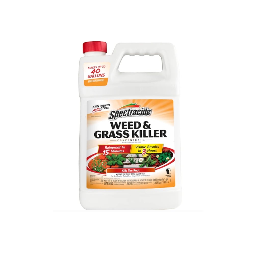 Spectracide Weed & Grass Killer Concentrate2, 1 Gallon Bottle
