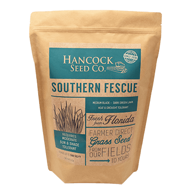 Hancock's Southern Fescue, 5 lb. Bag