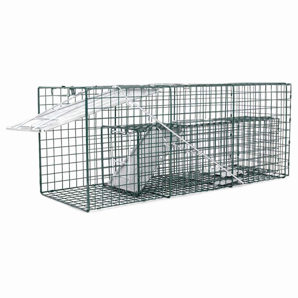 Catch & Release Traps for Raccoons and Rabbits, 2 Pack - 87-678-0204