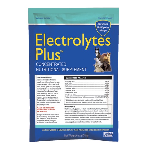 Sav-A-Caf Electrolytes Plus Concentrated Nutritional Supplement, 6 oz. Pouch