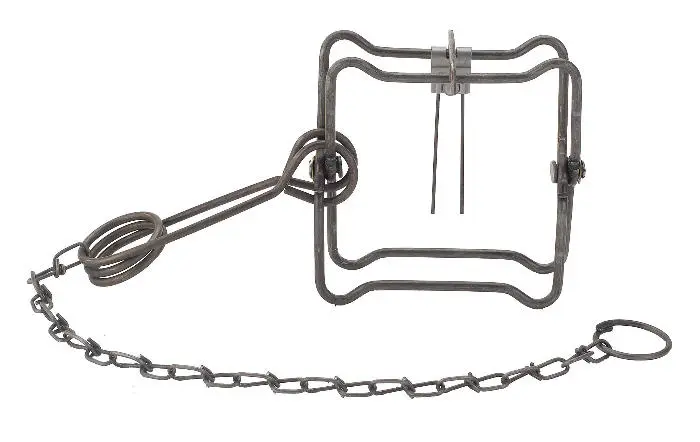 Duke Traps 0473 Coil Spring Trap, Spring Locking, For: Fox, Mink, Raccoon Duke Traps 0473 Coil Spring Trap, Spring Locking, For: Fox, Mink, Raccoon