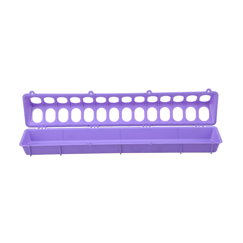 Country Road Plastic Flip-Top Ground Poultry Feeder, Purple
