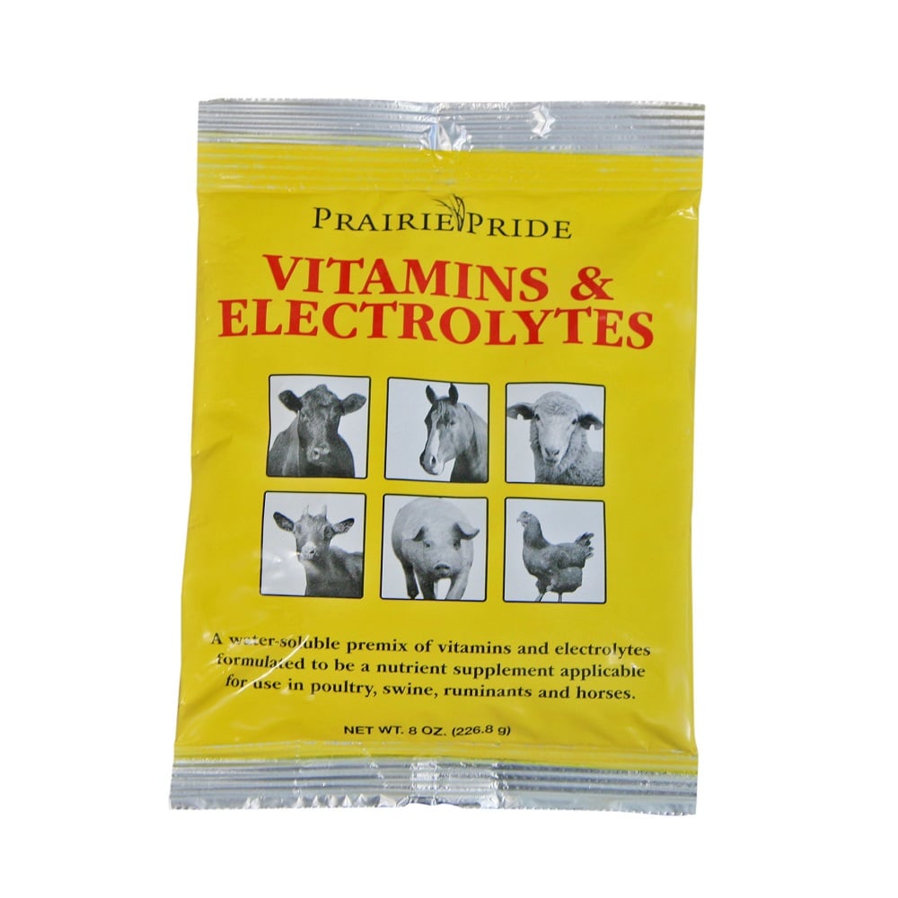 Vitamins & Electrolytes All Animal Class 8 oz - 49899