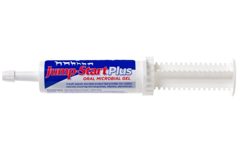 Manna Pro Jump-Start Plus Multi-Species Oral Microbial Gel, 1 Count Tube - 05-0840-9912