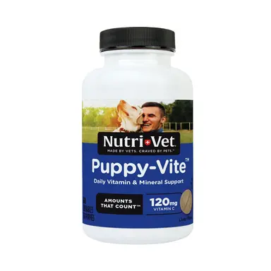 Dog Health & Wellness