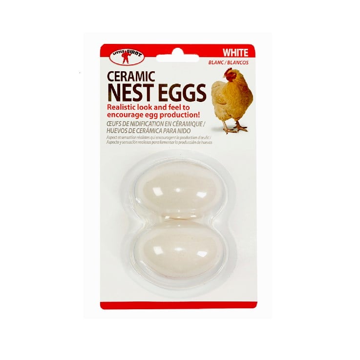 Little Giant Ceramic Nest Eggs - White, 2-Pack - CEGGWHT