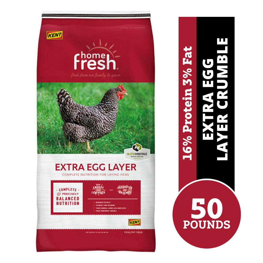 Kent Extra Egg Layer Crumble Poultry Feed, 50 lb. Bag - 3483