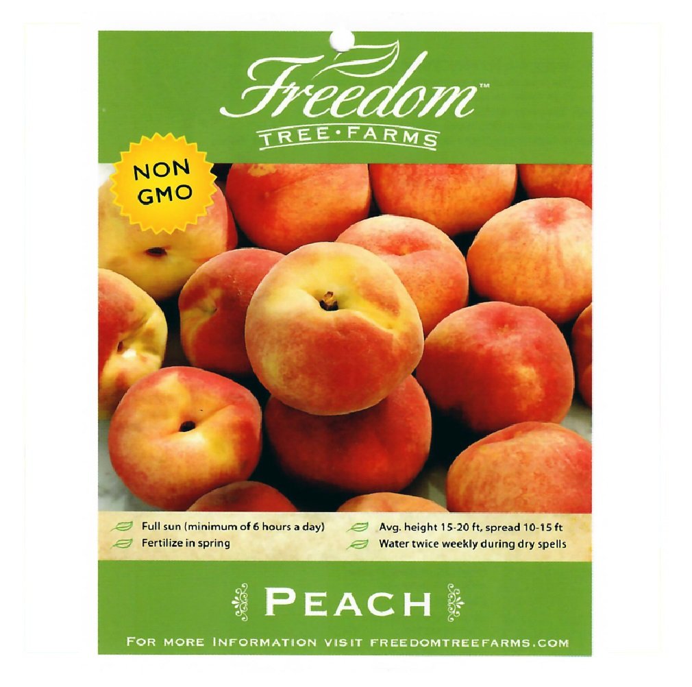 Freedom Tree Farms Bounty Yellow Peach Tree in 5 Gallon Bucket