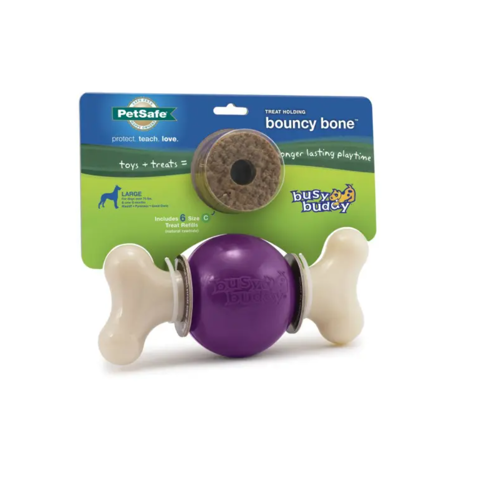 PetSafe Busy Buddy Bouncy Bone, Large