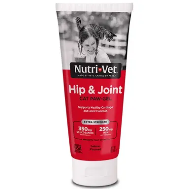 Cat Health & Wellness