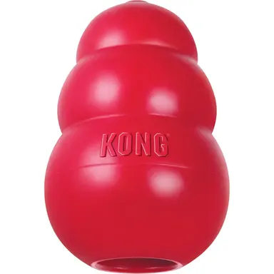 Dog Toys