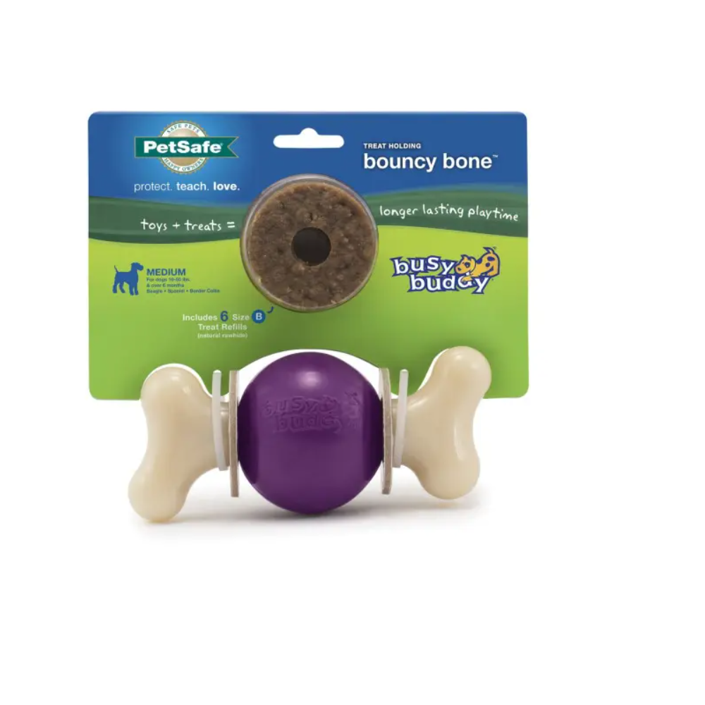 PetSafe Busy Buddy Bouncy Bone, Medium