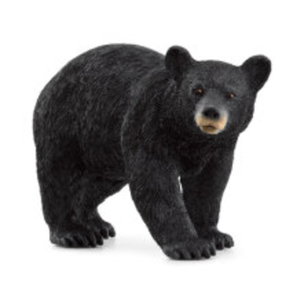 Schleich American Black Bear Toy - 14869