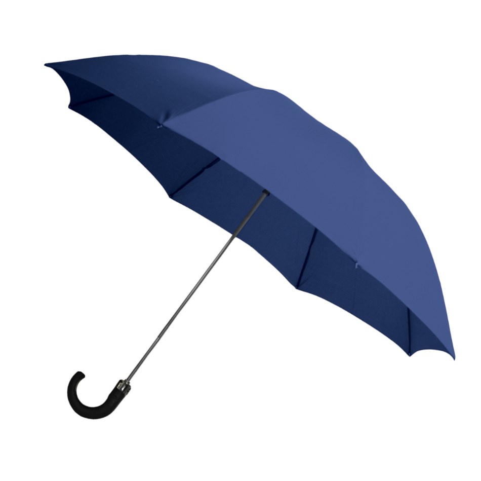 Rainbrella 42" 2-Fold Auto Open Umbrella with Plastic Hook - Blue 48135