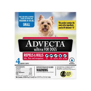 Dog Flea & Tick