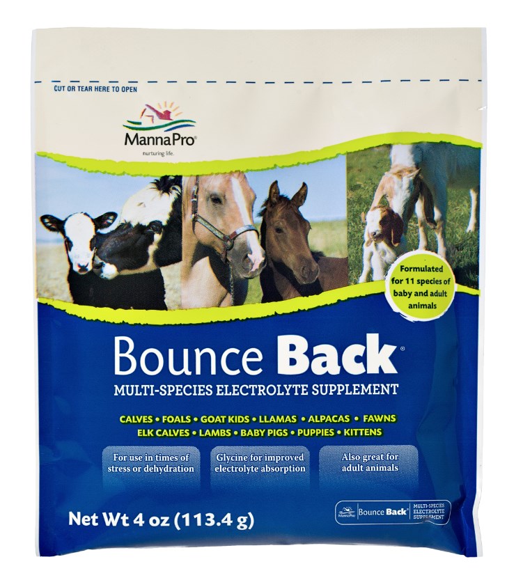 Manna Pro Bounce Back Multi-Species Electrolyte Supplement 00-9413-0249