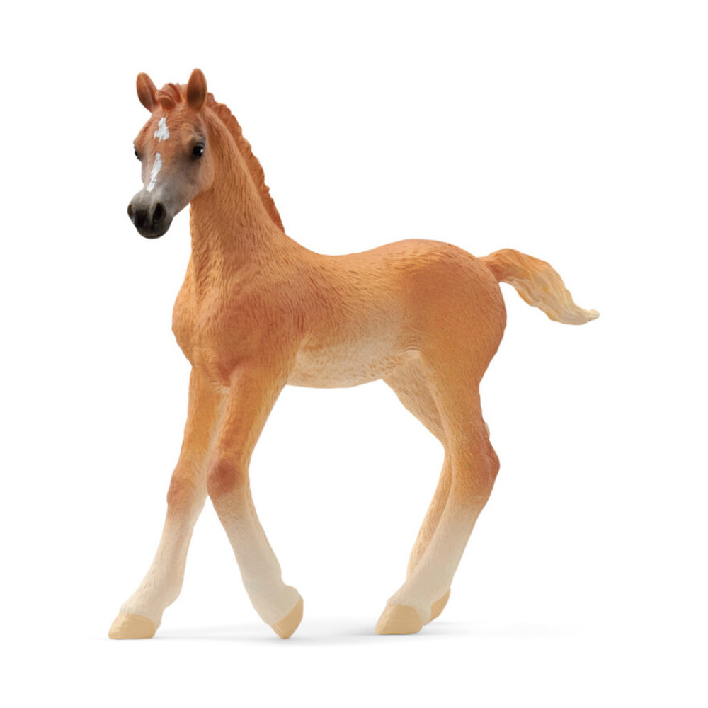 Schleich Arab Foal Toy - 13984