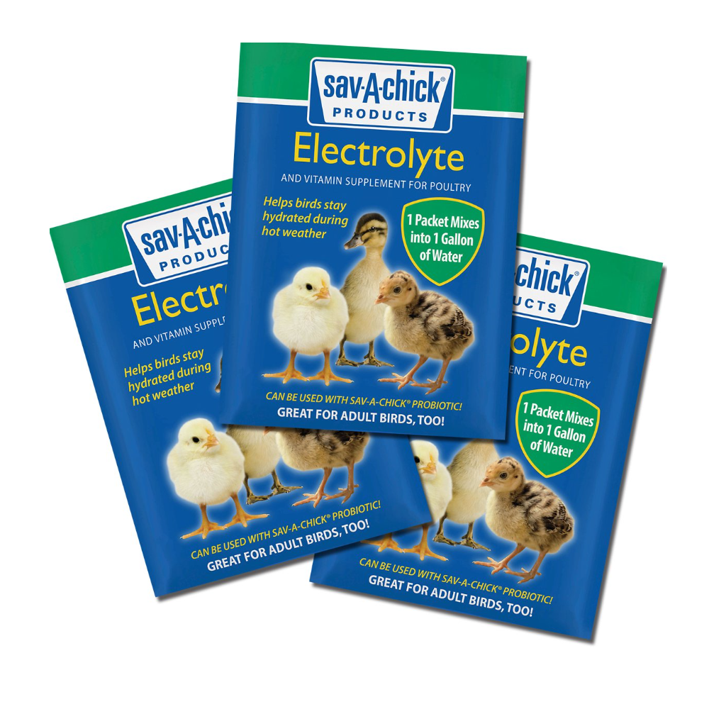 Sav-A-Chick Electrolyte & Vitamin Supplement for Poultry, 3 Count Pack