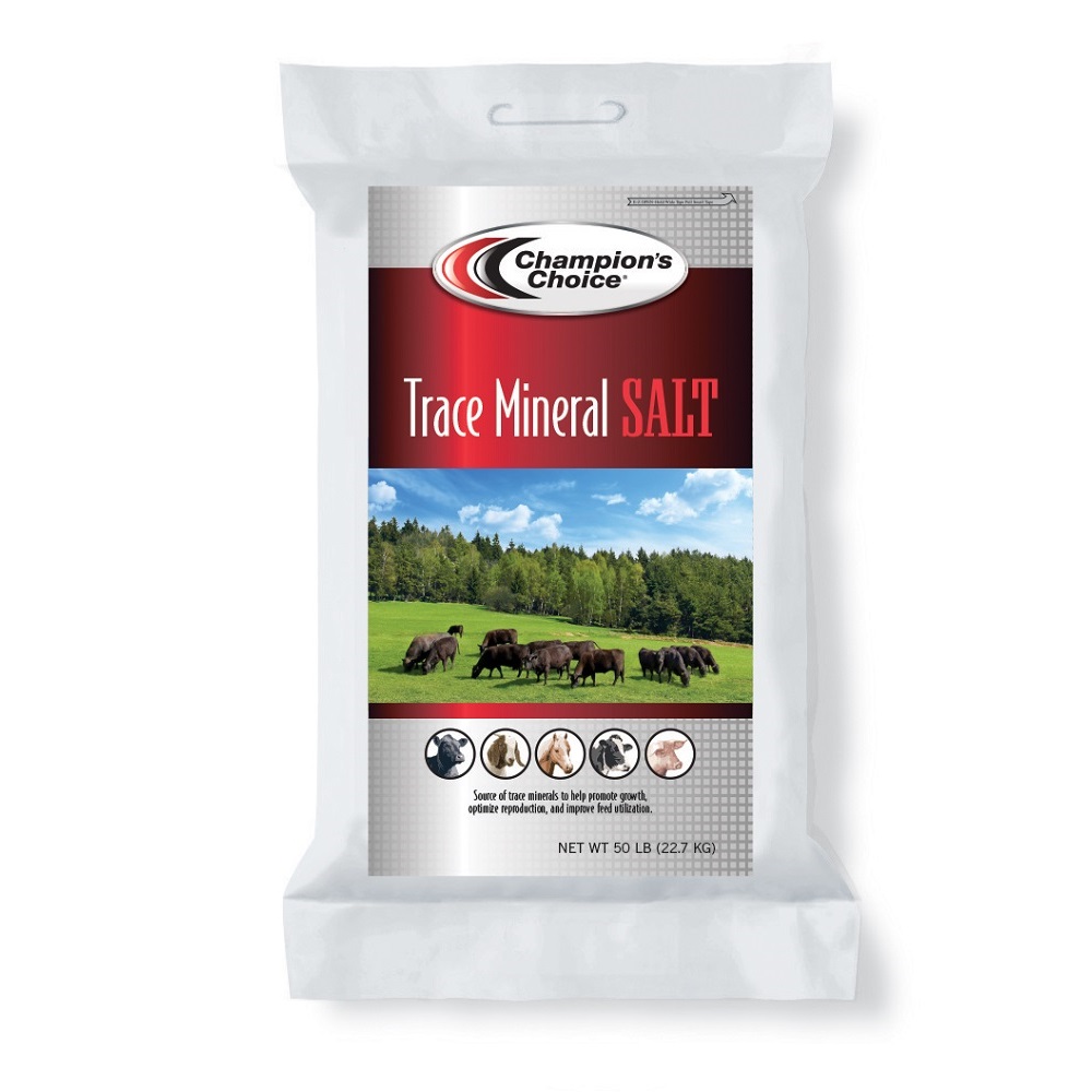 Champion's Choice Trace Mineral Salt, 50 lb. Bag - 100011361