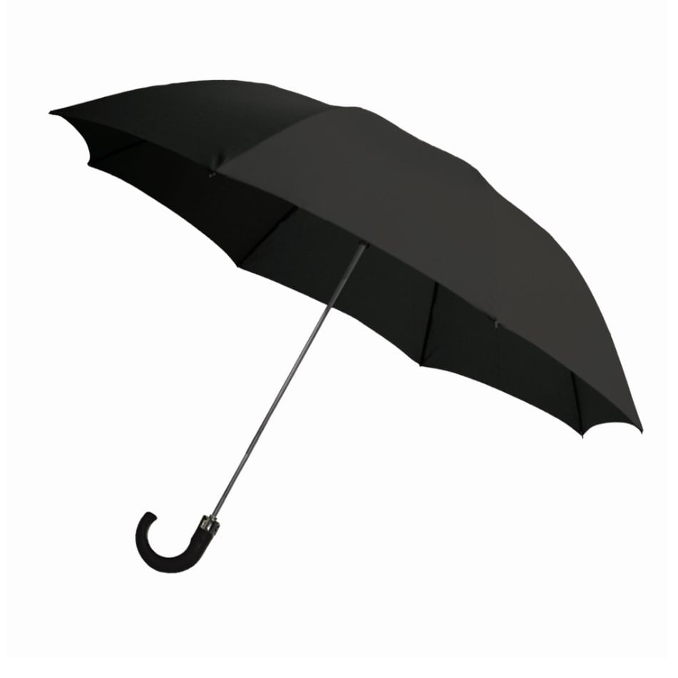 Rainbrella 42" 2-Fold Auto Open Umbrella with Plastic Hook - Black 48134