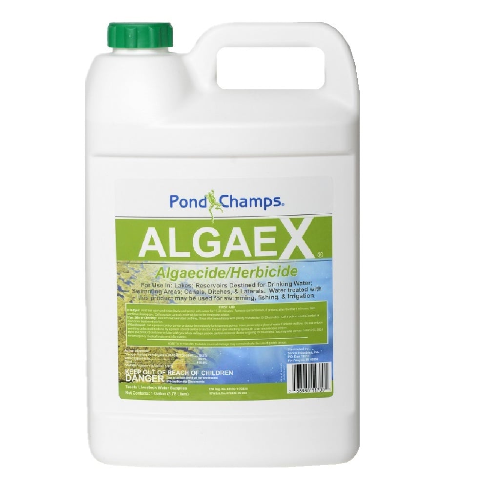 Pond Champs AlgaeX Algaecide/Herbicide, 1 Gallon - 11700