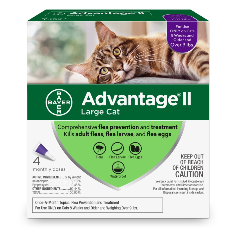 Advantage II Large Cat Flea Control, 9+ lbs. / 4 Doses