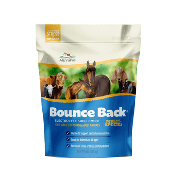 Manna Pro Bounce Back Multi-Species Electrolyte Supplement, 4 lb. Bag