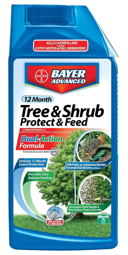 Bayer Advanced 12 Month Tree And Shrub Protect Feed Concentrate Bayer advanced 12 month tree and shrub protect feed concentrate