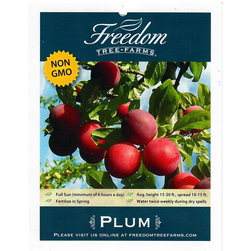 Freedom Tree Farms Ozark Premier Plum, 5 Gallon | Rural King