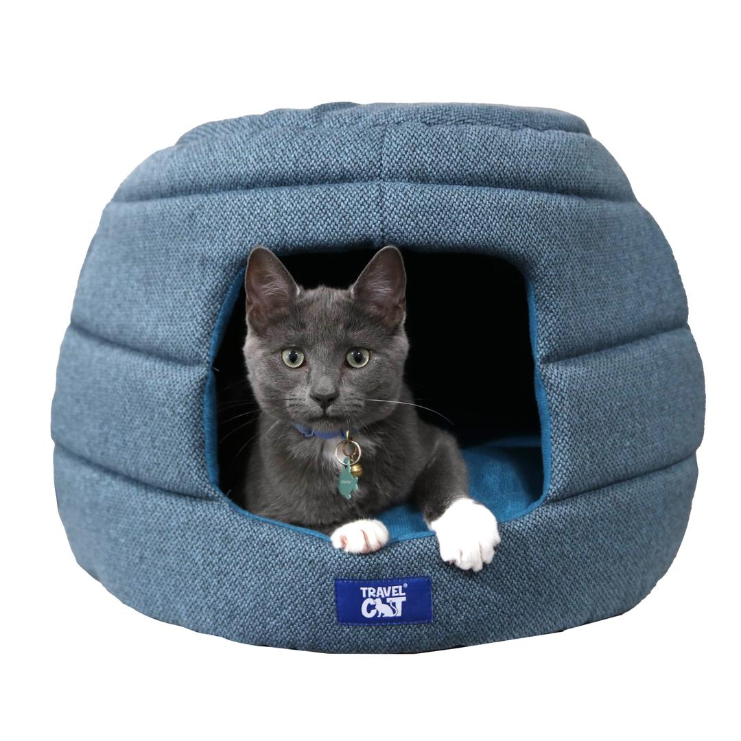 Cat Convertible Travel Cat \