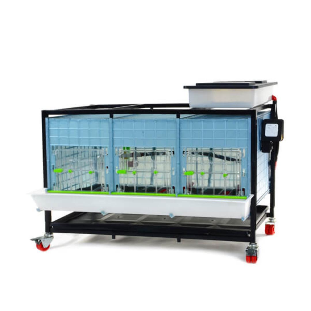 Ht03 Chick Brooder Hatching Time Chick Brooder, 1 Layer H 15 ft., 3 Section, Stackable ...