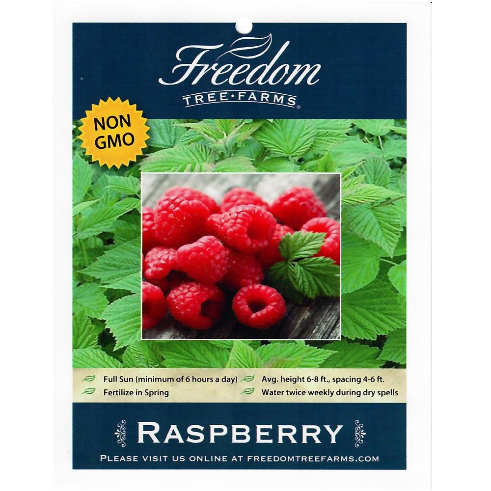 Heritage Raspberry Farms Freedom Tree Farms Heritage Raspberry, 1 Gallon | Rural King