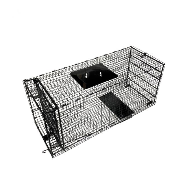 Humane Way Humane Way Foldable Metal Live Animal Trap - 42\