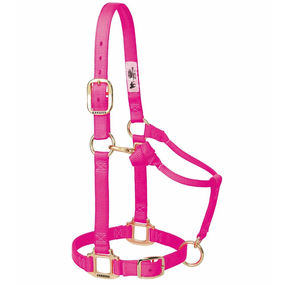 Pony Tack Hamilton Hot Pink Horse Halter - 3/4" Nylon For
