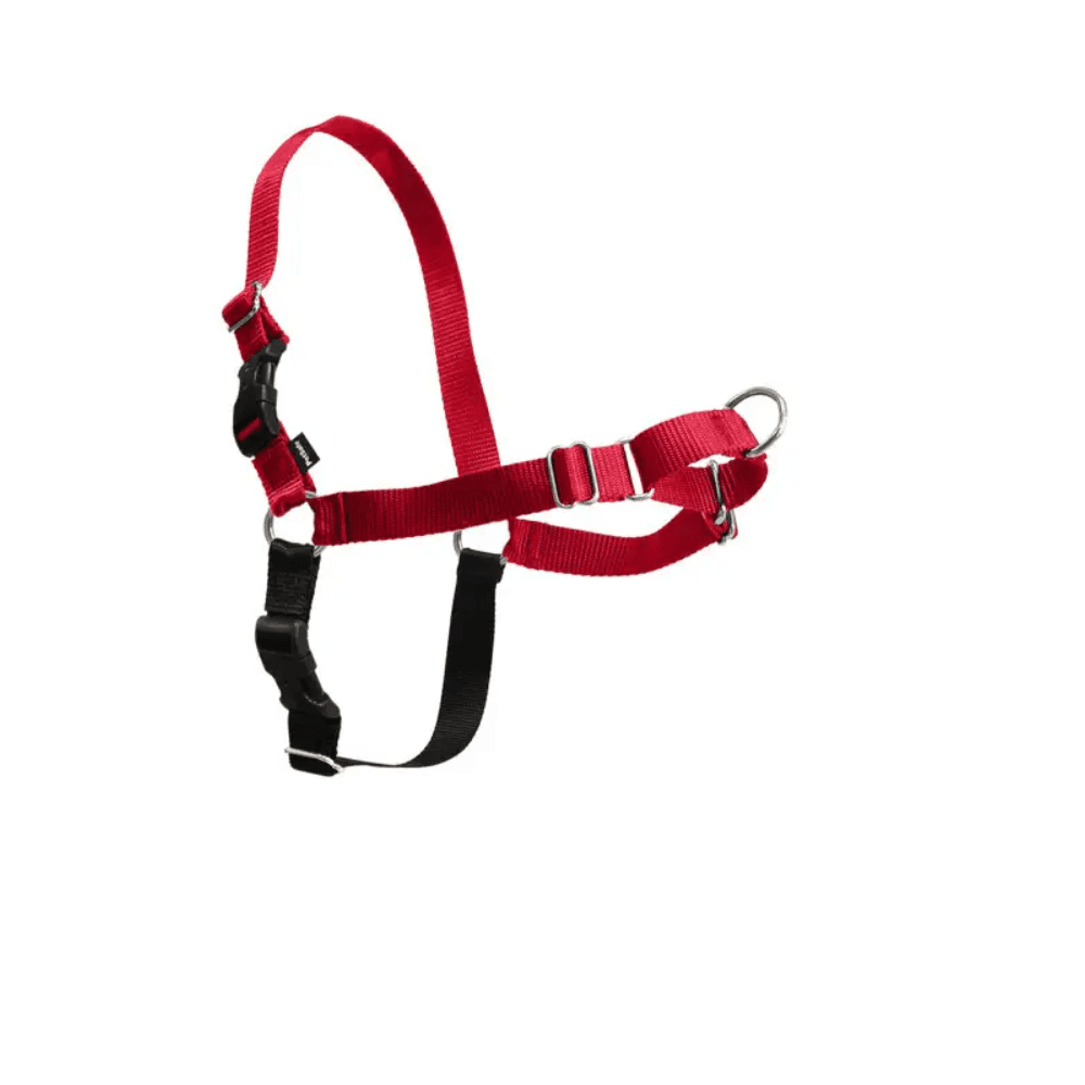 PetSafe Easy Walk No-Pull Dog Harness - Front Clip Design Stops Pulling, Includes Matching Leash