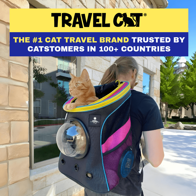 Travel Cat Travel Cat